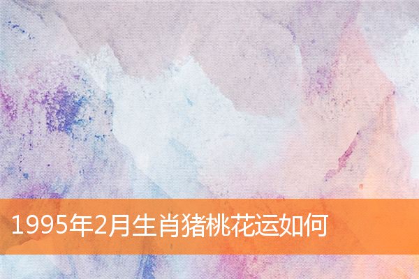 1995年2月生肖猪桃花运如何 属猪 卜易居