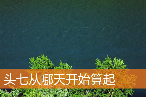 头七从哪天开始算起