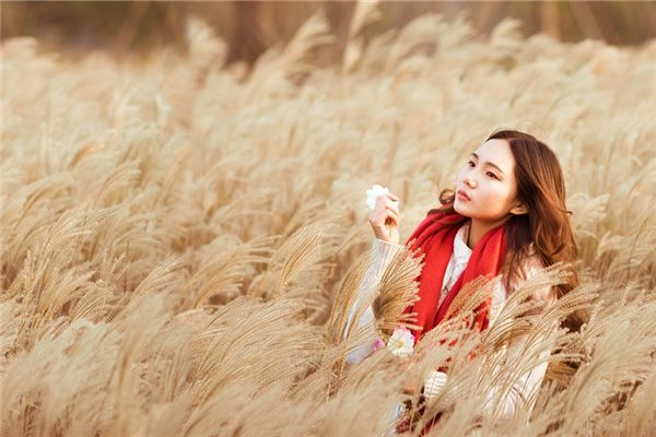 属鸡人做什么行业发财 属鸡做什么行业最好一碰就发