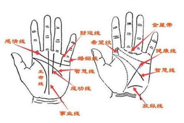 虎口手相图片